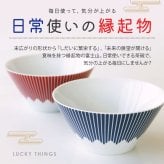 【名入れ】 ペア 茶碗 セット 名入れ ギフト 富士山グッズ 日本製 人気 おすすめ おしゃれ かわいい 食器 磁器 陶磁器 レンジ対応 男性 女性 結婚祝い 結婚記念日 引っ越し祝い 新築祝い《 FUJICUP 茶碗ペアセット 》 卒業 卒団 記念 送別 送別品 上司 同僚 部下 仲間 友達 親友 部活