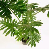 観葉植物 造花 セローム BROWN 全高約130cm 大型 フェイクグリーン 本物そっくり おしゃれ インテリア 人工観葉植物 アーティフィシャルグリーン オフィス 店舗 ホテル 開店祝い 室内 フィロデンドロン フェイク