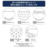 ストームグラス ニョロニョロ ムーミン ガラス オブジェ 天気予報 結晶 インテリア 雑貨 おしゃれ かわいい 北欧 キャラクター 置物 卓上 デスク プレゼント ギフト 贈り物