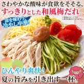 うめねぇちゃん 冷やし中華 5食セット 冷やし麺 生麺 スープ付き 個包装 夏麺 中華麺 ポスト投函便