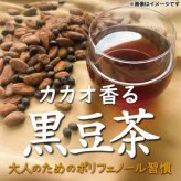 カカオ香る黒豆茶 14包 ティーバッグ 国産黒豆使用 カカオシェル配合 ノンカフェイン 健康茶 ティーパック ポリフェノール HMPA 配合 美容茶 お茶 ティー ティーバッグ ギフト プレゼント 贈り物