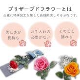 バラ 1輪 プリザーブドフラワー 花束 ブーケ 高級 薔薇 ローズ ギフト プレゼント 女性 彼女 妻 誕生日 記念日 プロポーズ 告白 結婚祝い 結婚式 電報 退職祝い 還暦祝い おしゃれ 枯れない 花
