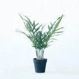 観葉植物 造花 フレボディウム BROWN 全高約65cm 卓上・小型 フェイクグリーン 本物そっくり おしゃれ インテリア 人工観葉植物 アーティフィシャルグリーン オフィス 店舗 ホテル 開店祝い 室内 ミニ ブルースター シダ フェイク