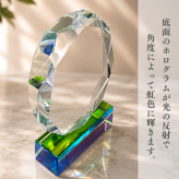 【ロゴOK】【名入れギフト】丸型 楕円 アーチ 加工 トロフィー クリスタルトロフィー クリスタル ガラス 名入れ ギフト ハートミー heart me レベル50 tiktok イベント 記念品 叙勲記念 社内表彰 勤続表彰 サプライズ プレゼント 贈呈品 OR-16