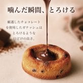 フィナンシェ [ ティグレ 9種類 詰め合わせ ] バレンタイン お返し ギフト 菓子折り プレゼント 御歳暮 お礼 誕生日 おしゃれ かわいい 高級 スイーツ 洋菓子 手土産 贈り物 出産 結婚 内祝い 個包装 お祝い