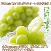 【予約商品 9月初旬出荷】シャインマスカット 山梨県産 朝採れ お中元 ギフト 山梨 5kg 7～9房 皮ごと食べられる 大粒 種なし マスカット ブドウ 葡萄 ぶどう 糖度18以上 クール便無料 送料無料