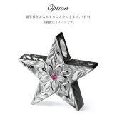 ハワイアンジュエリー ネックレス シルバー ペアネックレス 2本セット 誕生石入れ可 スター 星 リバーシブル スクロール マイレリーフ シルバー925 大人 長さ選べる カップル 夫婦 プレゼント ハロウィン 【品番：CG-SP2505P】