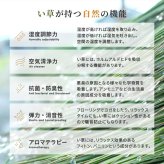 夏ラグ 夏用カーペット い草カーペット うしお 約261×261cm 江戸間 4.5畳 4.5帖 敷き詰め 柄上敷き 花ござ い草ラグ 和モダン 市松模様
