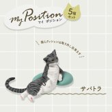 【5種類セット】 ガチャ ガチャガチャ コンプリート 中身 My Position