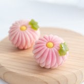 季節の上生菓子おまかせ6個セット【送料無料】 上生菓子 プレゼント 和菓子 ギフト お誕生日 御礼 御祝 贈答 お返し 練切 父の日 お中元