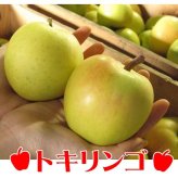 青森りんご 9kg 訳あり 送料無料 福袋 北海道産 青森産 リンゴ ※沖縄は送料別途加算 到着日指定不可
