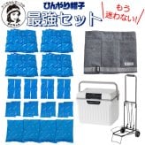 アニちゃんマークのひんやり帽子最強セット【本体＋冷却ジェル＋保冷剤＋クーラーボックスセット】かぶる氷枕 頭 冷やす グッズ 熱中症対策 暑さ対策 冷却帽子 高齢者 氷嚢 頭を冷やす帽子 冷却用帽子 保冷シート ひんやりぼうし 冷却グッズ 帽子の中 大人用 送料無料