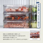 TAKEYA タケヤ FREEZE STOCK フリーズストック M 《2個セット》[保存容器 フードコンテナ 冷凍 クリア 透明 日本製 タケヤ フードストッカー オシャレ 保存 容器 中身が見える 小分け 冷凍容器 プラスチック ケース 薄型 浅型 食品保存]