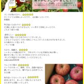 【糖度光センサー選別】長野県産りんご サンふじ プレミアム ギフト 約3キロ 約5キロ 贈答用 お歳暮 長野県産 信州産 果物 林檎 フルーツ 贈答 お取り寄せ 産地直送 母の日 父の日 敬老の日 還暦祝い お中元 お歳暮 お祝い ギフト 贈り物 グルメプレゼント 冬ギフト クリスマスプレゼント フルーツ 無添加【送料無料(一部地域除く)】