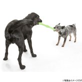 West Paw ウェストポウ ゾゴフレックス・エコー ズイッグ 犬用おもちゃ L ダンデライオンイエロー