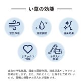 夏ラグ 夏用カーペット ラグ 正方形 い草 日本製 国産 自然素材 滑り止め加工 ナチュラル 市松柄 オールシーズン 消臭 シンプル 約2畳 約191×191cm ホットカーペット対応 床暖房対応