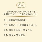 ロクシタン バランシング シャンプー 300mL コンディショナー 250mL アヴェダ AVEDA ミニパドルブラシ 3点セット 地肌ケア ヘアケア ツヤ髪 ダメージ補修 人気ブランド 正規品 ギフト プレゼント 贈り物 女性 男性 誕生日 記念日