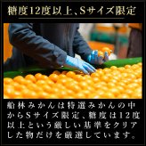 みかん 超特選 有田みかん 送料無料 小玉 高級 糖度12度以上 光センサー選果 船林 ふなりん S M 22～24個 約1.5kg 和歌山 手詰め ご当地 お贈答 結婚 出産 内祝い 誕生日プレゼント ギフト 誕生日 結婚祝い 出産祝い 内祝い ギフト