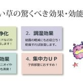 夏ラグ 夏用カーペット 純国産 い草 上敷き カーペット 双目織 『ほほえみ』 本間2畳(約191×191cm）