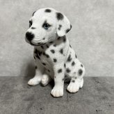 犬の置物 woobia ウービア お座りダルメシアン 子犬 リアル動物オーナメント 高さ12cm 青い瞳 イギリス職人手彩色 玄関 リビング 棚 インテリア 犬好き 誕生日 新築祝い 記念日 お祝い ギフト プレゼント かわいい