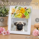 フラワーフォトフレーム　ペット　メモリアル　写真立て　遺影　ペット遺影　ペットグッズ 長寿 傘寿