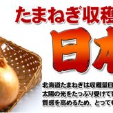たまねぎ 送料無料 10kg 玉ねぎ 玉葱 タマネギ 北海道産 Lサイズ ※沖縄送料別途加算