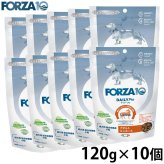 フォルツァ10 FORZA10 ドッグフード デイリープロ アダルトミニ ホース 120g×10個