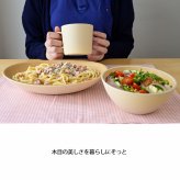 earth color バルセット40　IV