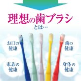 毛のかたさ選べる 歯科専用歯ブラシ Gupita グピタ (毛のかたさ：Mふつう／Sやわらかめ) 20本 (メール便3点まで) 【メール便送料無料】(※日時指定不可)／ 理想の歯ブラシ 全5色 個包装 ／ 復興支援商品 新生活