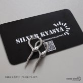 シルバー925 スネークピアス 蛇 フープピアス アニマルピアス 大ぶり ゴールド シルバー 個性的 ユニーク 大きめ かっこいい 緑の目 鱗 両耳2点 レディース 女性 金属アレルギー対応 イヤリング
