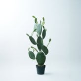 観葉植物 造花 ウチワサボテン BROWN 全高約117cm 中型 フェイクグリーン 本物そっくり おしゃれ インテリア 人工観葉植物 アーティフィシャルグリーン オフィス 店舗 ホテル 開店祝い 室内 サボテン オプンチア フェイク