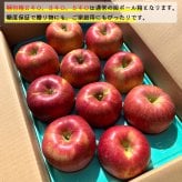 13度糖度保証 長野県産りんご シナノスイート プレミアム 贈答用 果物 フルーツ お取り寄せ 産地直送 【送料無料(一部地域除く)】