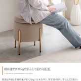 収納付きスツール 新生活 ベロア風 収納付き スツール 幅35cm 天板リバーシブル3色展開 スタッキング ドレッサー 踏み台 プレゼント 新築祝い 一人暮らし かわいい おしゃれ オブジェ リビング 北欧風 韓国風 インテリア家具 収納スツール 椅子