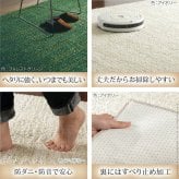 ラグ 洗える 防ダニ ミックスカラーラグ 〔ルーナ〕 オーバル型200x140cm 楕円 1.5畳 防音 防炎 カーペット ラグマット ウォッシャブル 床暖房 ホットカーペット対応 リビング 滑り止め スミノエ 日本製