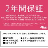 イノベーター スーツケース キャリーケース 21L 1-3泊程度 機内持ち込み可能 innovator INV30 メンズ レディース 送料無料 誕生日プレゼント 【正規代理店】