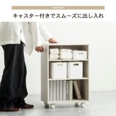 ラック 押入れ収納 奥行45cm 選べる幅3サイズ (19/25/38cm) IW-24 クローゼット収納 リビング収納 すき間収納 サニタリー収納 新生活