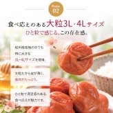 梅干し 紀州南高梅 つぶれ梅 1.7kg 850g×2パック 塩分約3% 減塩 はちみつ梅 蜂蜜 大粒 3L 4L 訳あり 紀州 和歌山県産 お徳用 果肉たっぷり ご飯のお供 ギフト