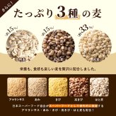 雑穀 雑穀米 国産 麦の恵み24穀米ブレンド【選べる800g~4kg】雑穀米本舗 [丸麦/押麦/はだか麦/もち麦/はとむぎ] 無添加 無着色 徳用サイズ 送料無料