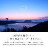 夏ラグ 夏用カーペット 国産い草カーペット せとのと 倉ノ戸 本間 4.5帖 4.5畳 柄上敷き 花ござ い草ラグ