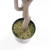 観葉植物 造花 斑入りベンジャミン BROWN 全高約150cm 大型 ゴムの木 フェイクグリーン 本物そっくり おしゃれ インテリア 人工観葉植物 アーティフィシャルグリーン オフィス 店舗 ホテル 開店祝い 室内 ベンジャミン 斑入り フィカス フェイク