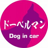 Dog in car ドッグインカー ステッカー カーステッカー ドーベルマン 毛筆書体 ピンクパープル シール 煽り運転対策 カーサイン