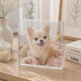 チワワ ガラスブロック 愛犬 マルチーズ 誕生日 オリジナル 感謝 パグ 写真立て 記念日 メモリアル ペット 記念 ペットグッズ 小型犬 名入れ おしゃれ 贈り物 クリスタル プレゼント 飼い主 肉球 写真入り フォトフレーム ペット仏壇 写真 ペットメモリアル オーダーメイド ペット写真 虹の橋 うちの子 置き物 メモリアルフォトフレーム 愛犬家 トイプードル サプライズ ギフト 犬【c01】