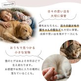  遺毛ケース 桐 名入れ ペット 毛 ひげ 髭 ヒゲ 犬 猫 鳥 ハムスター うさぎメモリアルケース メッセージ 愛犬 愛猫
