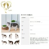 大きなサイズで【歩くサバトラ白猫(大）】CAT　本物そっくり  WooBia