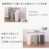 ゴミ箱 おしゃれ 30リットル 30L 分別 スリム スライドペール ふた付き LFS-762 袋止め キャスター ダストボックス シンプル かわいい キレイ 縦型 縦 臭わない キッチン 寝室 洗面所 台所 リビング ファミリー インテリア 東谷