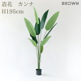観葉植物 造花 カンナ BROWN 全高約195cm 大型 フェイクグリーン 高級 本物そっくり リアル おしゃれ インテリア 人工観葉植物 アーティフィシャルグリーン 南国 リゾート オフィス 店舗 ホテル 開店祝い 室内 リビング 玄関 風水 フェイク