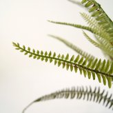 観葉植物 造花 ボストンファーン グリーン BROWN 全高約70cm 卓上・小型 フェイクグリーン 本物そっくり おしゃれ インテリア 人工観葉植物 アーティフィシャルグリーン オフィス 店舗 ホテル 開店祝い 室内 ミニ シダ タマシダ フェイク