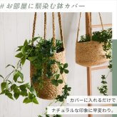 ラグ カーペット スベリ止めシート（9枚入り） 10x10cm 洗濯不可 すべり止め HOT対応・床暖房対応 絨毯 マット