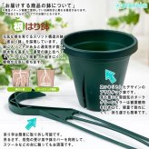 PLANCHU 観葉植物 ポトス グローバルグリーン 4号吊り鉢 育て方説明書付き PVP Epipremnum aureum ‘Global Green’ エピプレムナム アロイド