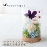お供え プリザーブドフラワー 【tranquiloトランキロ】 ぷりざーぶどふらわーと空フラワーの御供花　ドームに入っているので埃がかぶらずお手入れが簡単です お供え花 花 プリザーブド お悔み ご仏前に お供 お水が要らない 長く飾れる花 土日発送 お花 送料無料　